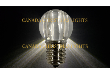 G30 BULBS – COMMERCIAL GRADE