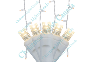 CURTAIN LIGHTS - WARM WHITE - COAXIAL-8.5ft STRAND – PRO SERIES