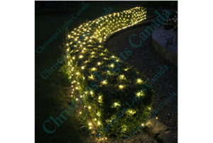 NET LIGHTS - WARM WHITE - COAXIAL-4 X 6 - G12 GLOBE LIGHTS